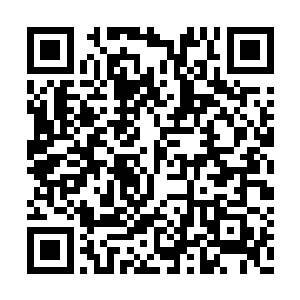 便见到天空中突兀的出现了两只巨型的元气手印二维码生成