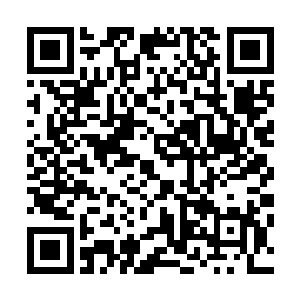 便见到小白的双目之中爆射出两道蓝光轰击在天然大阵之上二维码生成