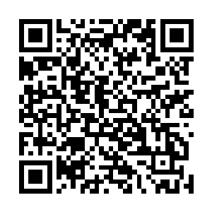 便见到统领大殿之中走出十八个穿着战甲的虚灵初期高手二维码生成