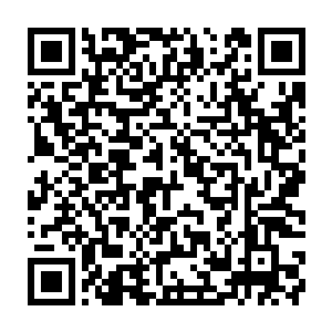 便见圣甲虫人那雄壮结实的双臂就好像是被重锤给从中砸断的两根甘蔗一样二维码生成