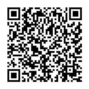 便见承受了背叛之辱和丧子之痛的奥斯卡忽然发出一声愤怒的咆哮二维码生成