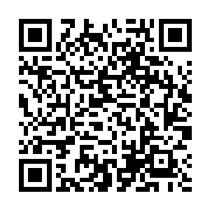 便见这圣城周围的空间和景色竟然开始剧烈扭曲了起来二维码生成