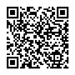 便见这红色的身影在楚旬周围大树上不断飞纵跳跃二维码生成