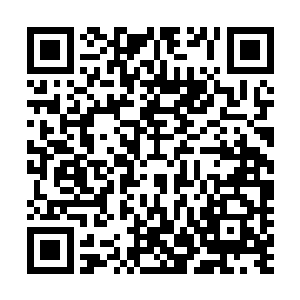便见那机械巨兽后腹部中忽然喷涌出一股股炽烈的能量光焰二维码生成