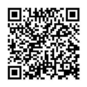 便觉得这身影比阳光还要耀眼妖孽王爷到现代最新章节二维码生成