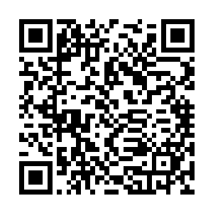 便让他有所有的一切有一种掌控之中的自信的伙伴二维码生成