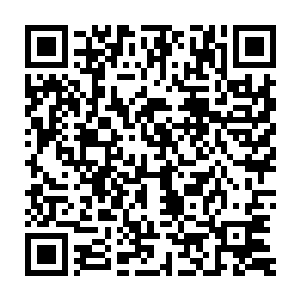 便让双头裂体兽顺着五行神宫墙面下降到五行元素海流上方五六米处二维码生成