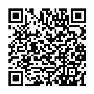 便调集手下开始全力调查高仆虎手上的这个案子二维码生成