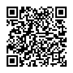 便走到侧壁边的书柜前随手翻看着里面摆放的书籍二维码生成