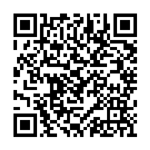 便赶忙将楚枫放入了界灵公会一行人的队伍之中二维码生成