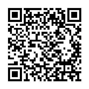 便起身去吩咐小黄门遣人去通知以上的大臣入殿二维码生成