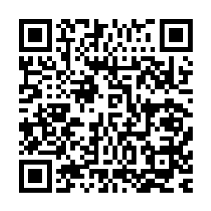 便迅速以自己出色的球技和出众的外表吸引了众多球迷的喜爱二维码生成