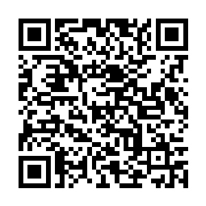 便迅速地跑到了林思平的洞府前释放了十几张符箓二维码生成
