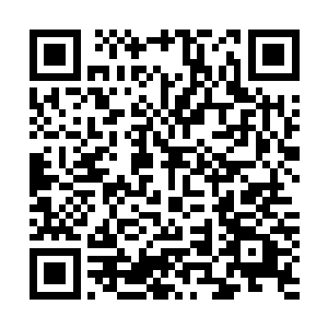 便顺手往这一串项链和那一对手镯上各自丢了一个侦查技能二维码生成