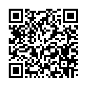 便飞到了许紫烟的前面默默地引路二维码生成