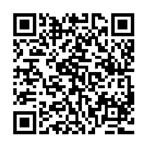 俄军与张一虎的第一集团军隔三差五的就会进行一场小的冲突二维码生成