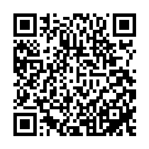 俄罗斯姑娘只是略微局促的拿着手里的毛巾收回了手对娜塔莎二维码生成