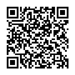 保卫一丝不苟的核实了王世子以及他两名保镖兼司机的身份二维码生成
