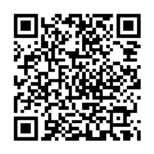 保姆机器人们视死如归的向看守机器人涌去――二维码生成