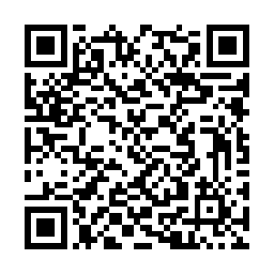 保护刚刚诞生的虚拟小人儿不受到病毒数据的侵蚀二维码生成