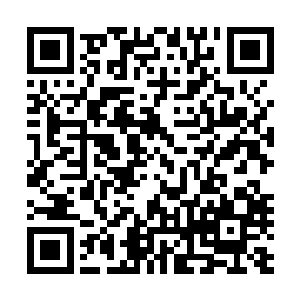 保护提斯耐克的那一层神殿里力量顿时开始剧烈波动了几下二维码生成