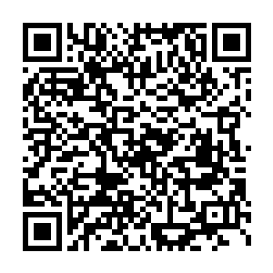 保护范围甚至包括本是死敌的吸血鬼大长老维克多和狼人头领卢西恩二维码生成
