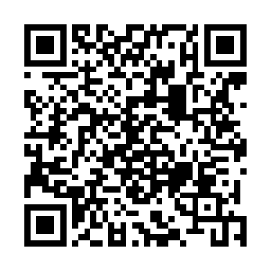 保证安全的情况下才肯带着自家的炼虚期仙奴到荒域里来二维码生成