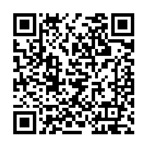 保证现在刚刚调整到位县委常委班子全部高票当选二维码生成