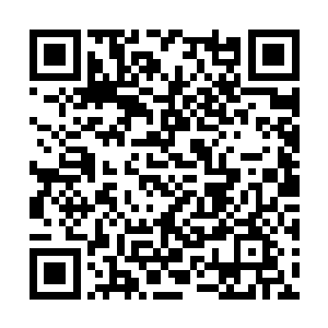 保镖和狗很好地阻挡住了黄利民和陈成名之间的路二维码生成