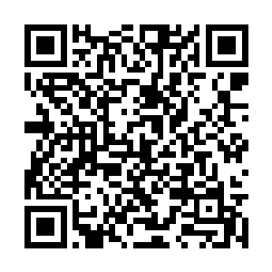 俞一江看着张永年上了二号车缓缓驶离了政府大院二维码生成