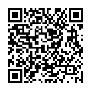 俞侬侬想当初她会选择那种让所有人都回不了头的方式二维码生成
