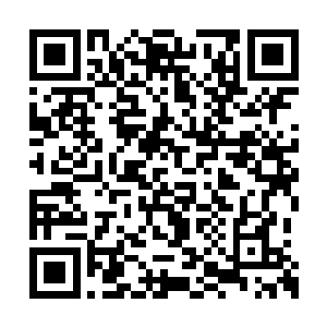 信上说让他找父皇请命去于向河将军的军营历练二维码生成