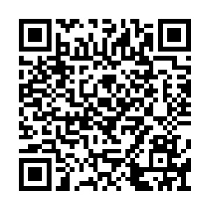 信号旗和阿尔法也很好的完成了预定的作战目标二维码生成