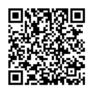 信念促使这些对抗犯罪者们的战士无畏的奔入了战场二维码生成