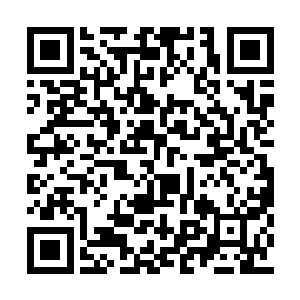 信手扔了还在前冲的摩托车滑进旁边的花台撞击二维码生成