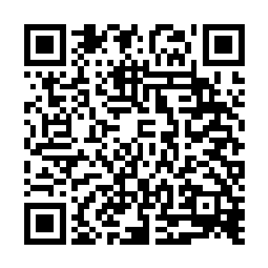 信王却下达了全军回师的命令……这些人实在是太讨厌了二维码生成