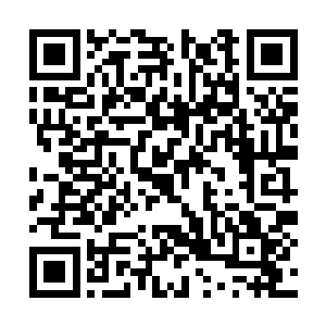 俨然以有使相资历的高官为萧言麾下一循吏的模样二维码生成