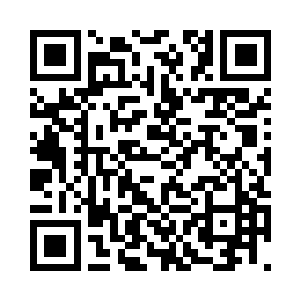 俨然成了整个仓北县城的标志性建筑二维码生成