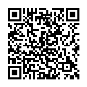 俨然是将方才那个近乎乱局的打斗练习了一千次二维码生成
