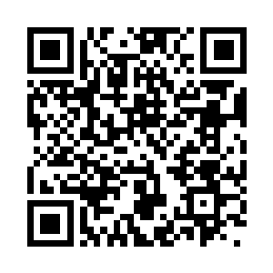 俨然雨果和桑德拉已经是确认了关系的架势二维码生成