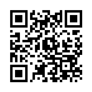 俩人几乎一帧一帧的讨论二维码生成