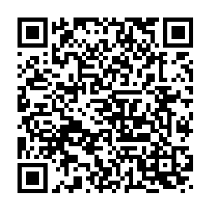 俩人带着试一试的心态跑到他们的摊位上扯起一块狐狸皮用金语问价二维码生成