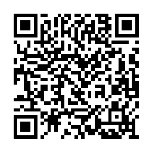 俩人插的眼加起来都不比出了眼石的辅助少多少二维码生成