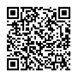 俩人正愉快的就小熊的教育问题进行了亲密的交流二维码生成