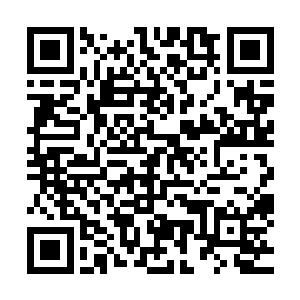 俩人的默契配合曾经打爆过不知道多少世界级强队的下路组合二维码生成