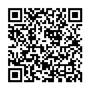 俩人让初执导筒的亚历克斯感受到了最丰富的美妙影像二维码生成