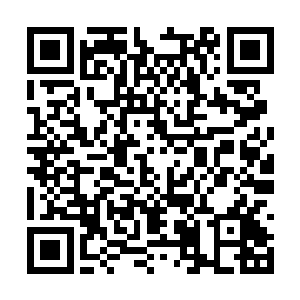 俩人都是用得只有他们自己才能听懂的韩语在交流二维码生成