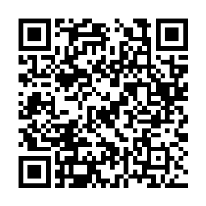 俩师徒和妖若仙相处这么久也知道了妖若仙的身份二维码生成