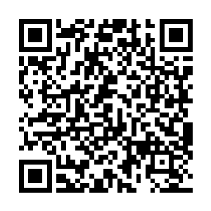 俩腿脚还不是很利索的家伙就磕磕绊绊的跑到雪狼的旁边二维码生成