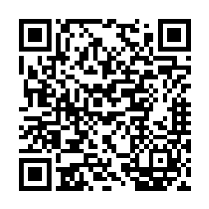 修为也大多是仙露期甚至还有一两个是仙丹期境界二维码生成